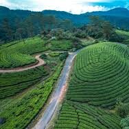 Munnar